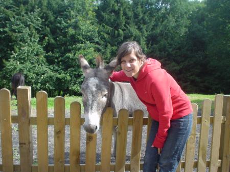 nos amis les b&ecirc;tes (un petit dernier)