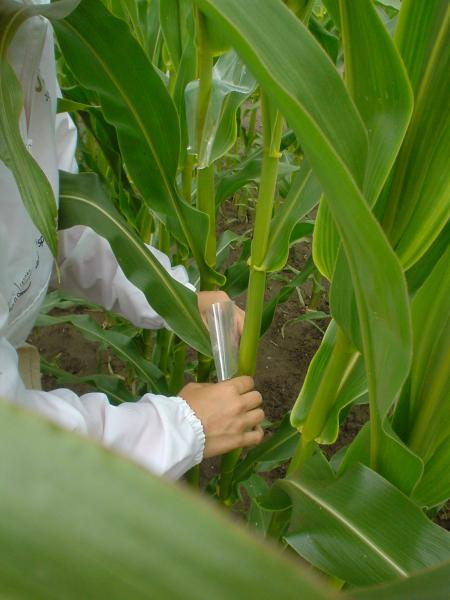 2&egrave;me &eacute;tape